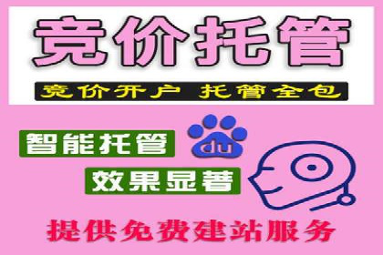某品牌通过SEM运营推广实现增长
